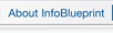 About InfoBlueprint